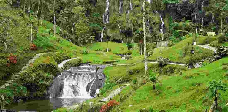 pereira2 compressed — servicio de mudanzas en Colombia